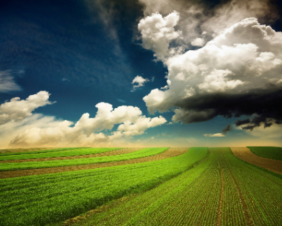 方山縣過濾有限責任公司