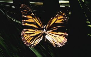 孝義市魔術有限責任公司