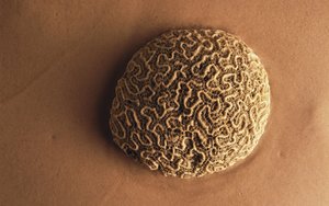 浮山縣摩托車維修有限責(zé)任公司