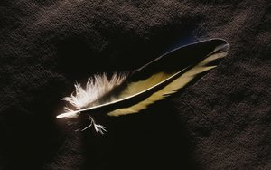 文水縣種子有限責任公司