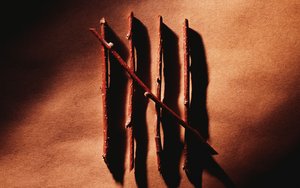 蒲縣毛茶有限責任公司