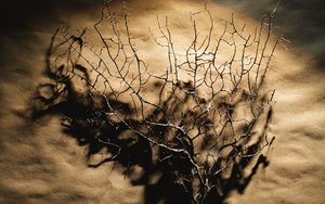 中陽縣建筑設計有限責任公司