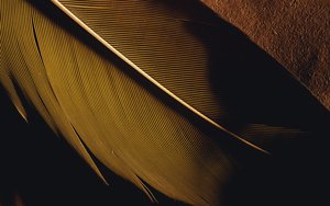 文水縣光學儀器有限責任公司