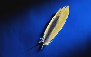 蒲縣童鞋配飾有限責(zé)任公司