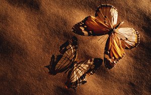 方山縣肉制品有限責任公司