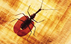 文水縣磷肥有限責任公司