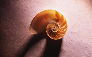 浮山縣生活有限責任公司