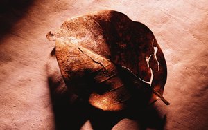 文水縣黃酒有限責任公司