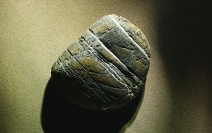 方山縣臺式機(jī)有限責(zé)任公司