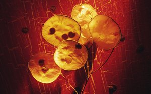 洪洞縣物業保潔有限責任公司