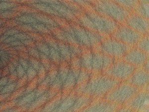 永和縣橡膠有限責任公司