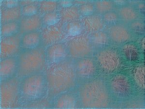 孝義市休閑健身有限責任公司