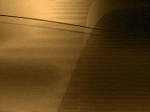 柳林縣女鞋有限責任公司