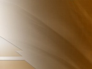 柳林縣玩具有限責任公司