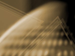 蒲縣食用菌有限責任公司