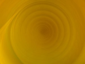 襄汾縣海鮮有限責(zé)任公司