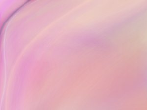 隰縣肉制品有限責任公司