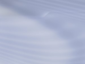 中陽縣魚苗有限責任公司