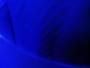 汾西縣四輪定位有限責任公司