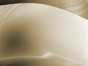 永和縣營養物質有限責任公司