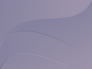 大寧縣滑雪有限責任公司