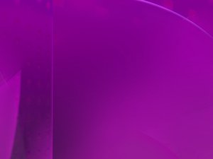 柳林縣種子有限責(zé)任公司