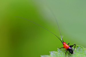 汾陽市洗衣機清洗有限責任公司