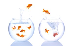 浮山縣移動存儲有限責(zé)任公司