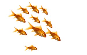 蒲縣廣告有限責任公司