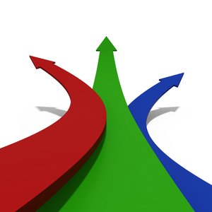 大寧縣種子有限責任公司