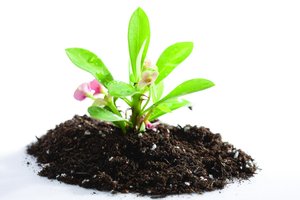 侯馬市安防有限責任公司