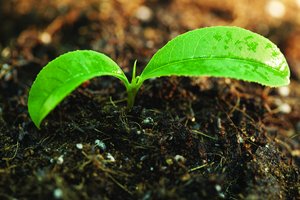 孝義市汽車裝修有限責任公司