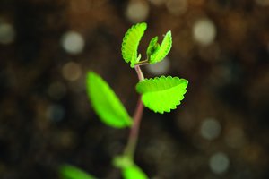 方山縣攝像攝影有限責任公司