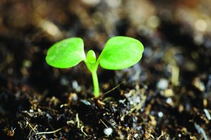 中陽縣電動工具有限責任公司