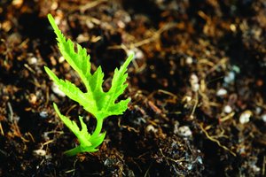 襄汾縣汽車有限責任公司