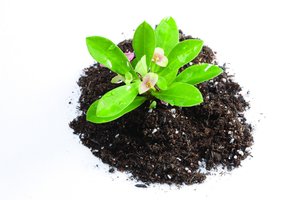 洪洞縣物業(yè)有限責(zé)任公司