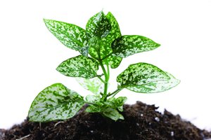 襄汾縣商務服務有限責任公司