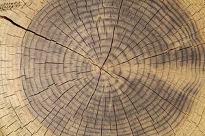 呂梁市古玩有限責任公司