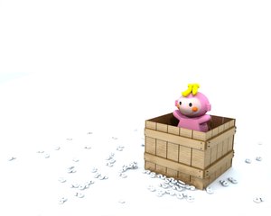 文水縣飼料昆蟲有限責(zé)任公司