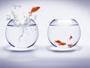 汾陽市家具有限責任公司