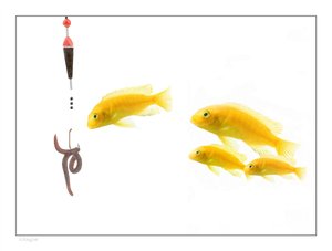 孝義市男鞋有限責(zé)任公司