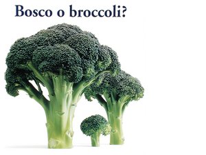 襄汾縣粘鋼加固有限責(zé)任公司