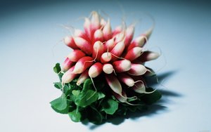 臨汾市紙類包裝有限責任公司