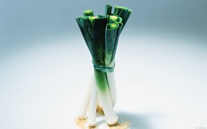 大寧縣獸用殺蟲劑有限責任公司