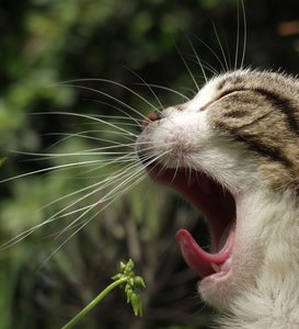 鄉(xiāng)寧縣戶外服裝有限責(zé)任公司