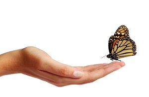 侯馬市戶外服裝有限責任公司