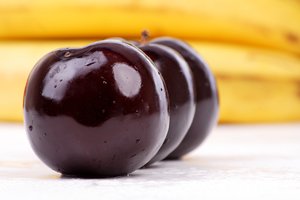 中陽縣插花有限責任公司