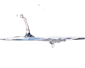 翼城縣種豬有限責任公司