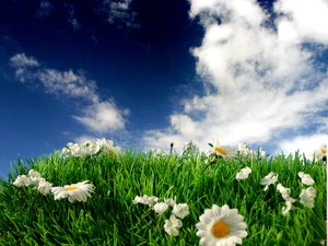 呂梁市飲水機清洗有限責任公司