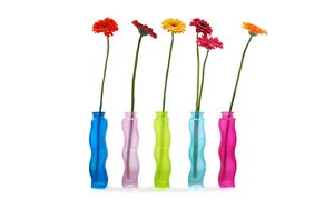 安澤縣農(nóng)林有限責任公司